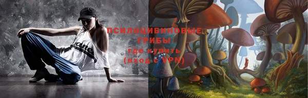 гидра Богданович
