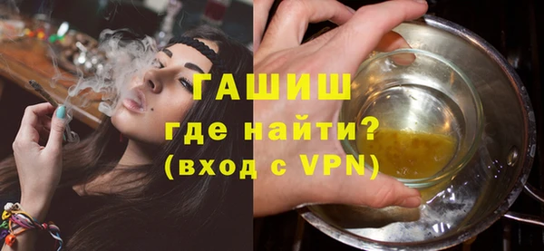 гидра Богданович