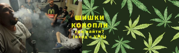 гидра Богданович