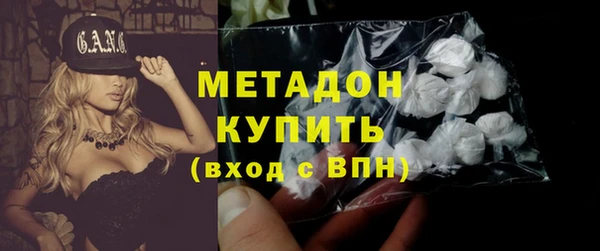 гидра Богданович