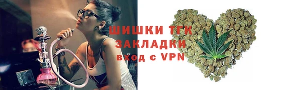гидра Богданович