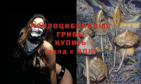 гидра Богданович