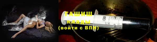 гидра Богданович